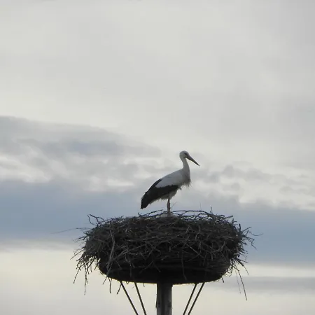 Vakantieboerderij Foxhill Groesbeek
